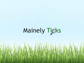 Mainely Ticks