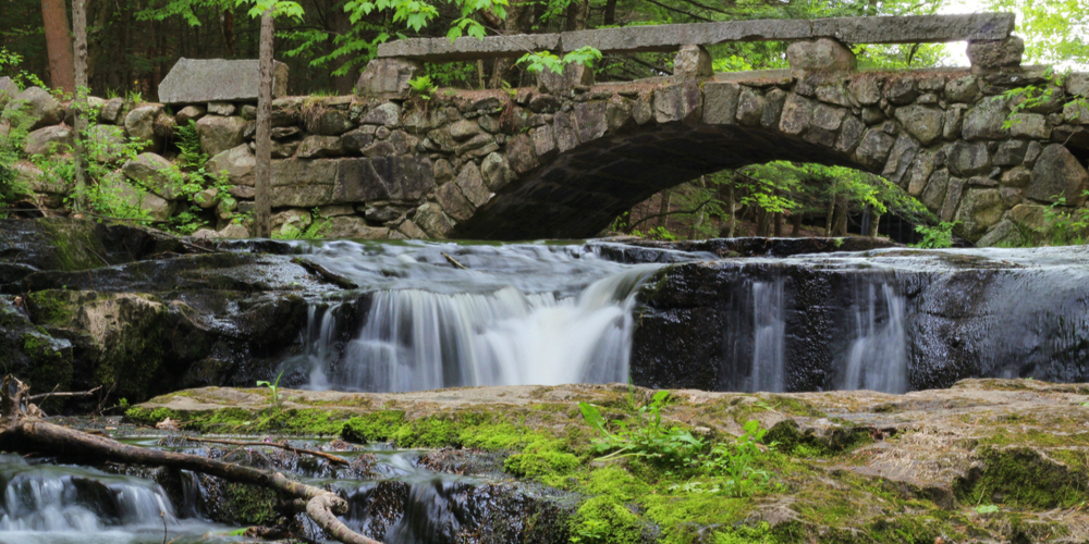 Vaughan Woods State Park bridge in Vaughan Woods State Park